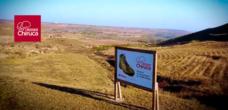 Chiruca plants more trees in its Forest